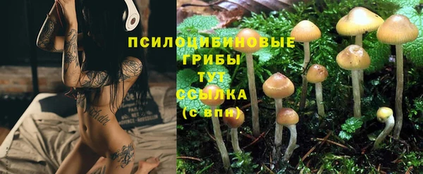мяу мяу мука Белокуриха